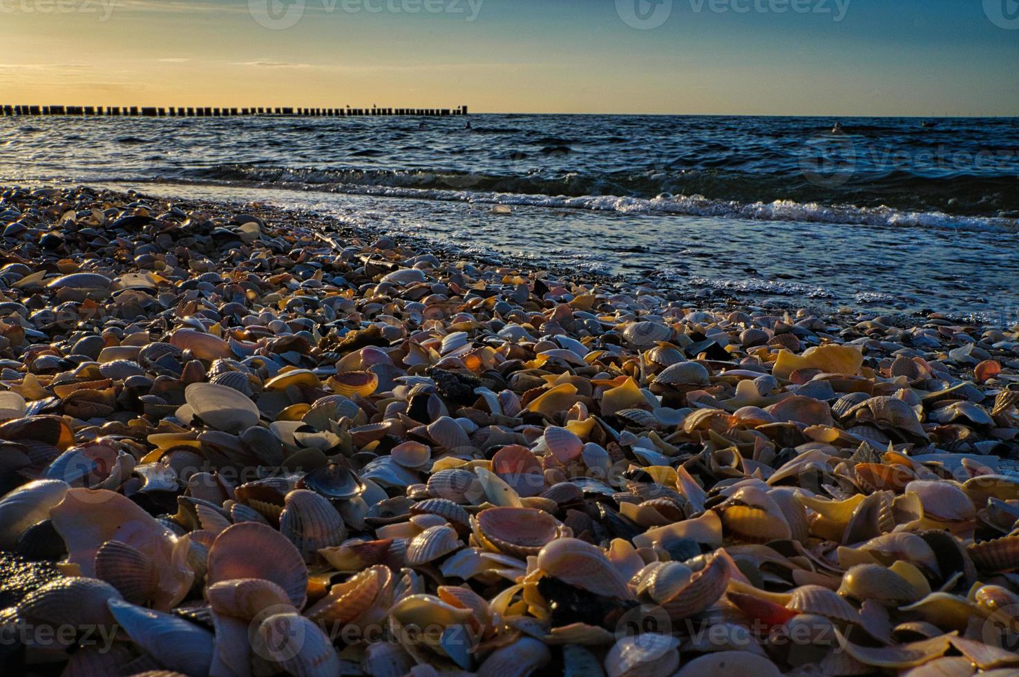 sulla spiaggia di Zingst. le conchiglie giacciono nella sabbia di fronte al mare del mar baltico foto