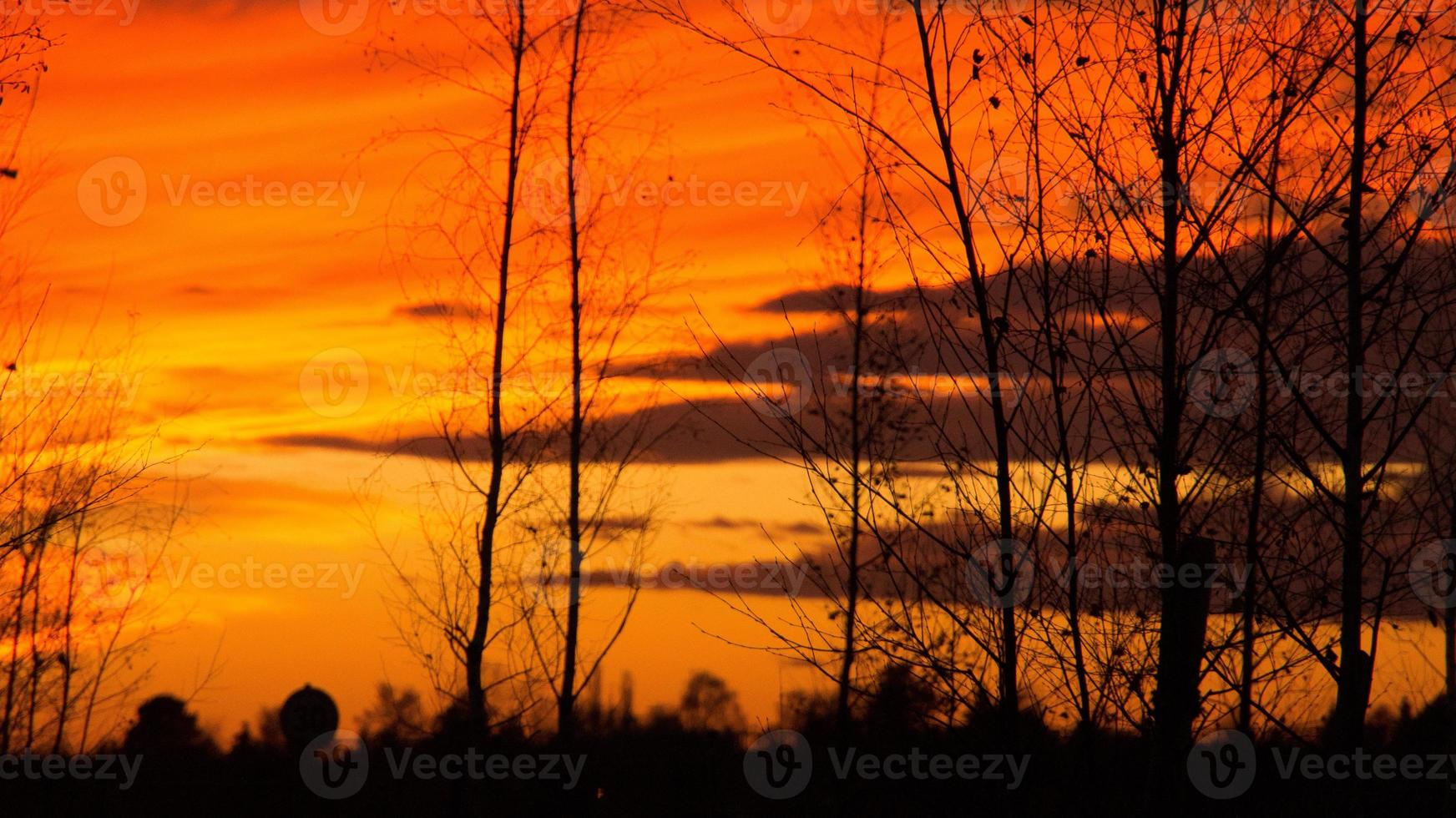 tramonto con cielo in fiamme dietro gli alberi. foto