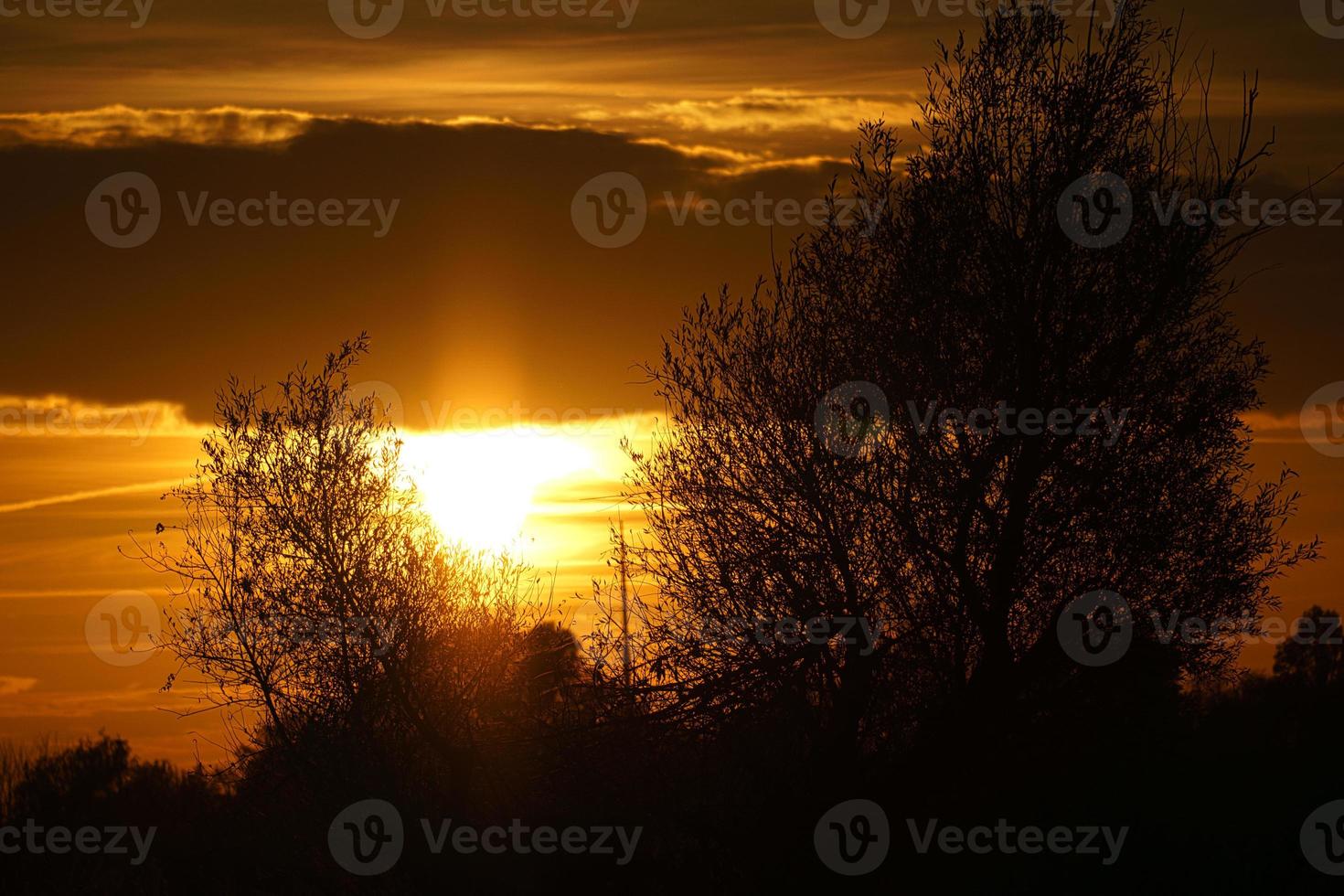 tramonto con cielo in fiamme dietro gli alberi. foto