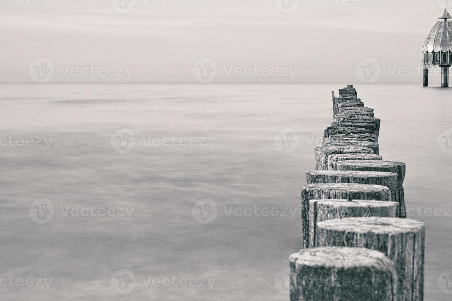 pennelli al mar baltico in bianco e nero con molta struttura foto