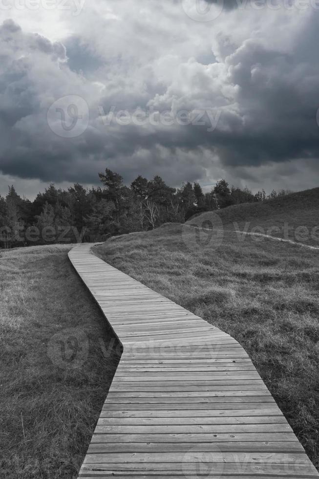 sentiero escursionistico in bianco e nero, su una passerella di legno fino all'alta duna sul darss. foto