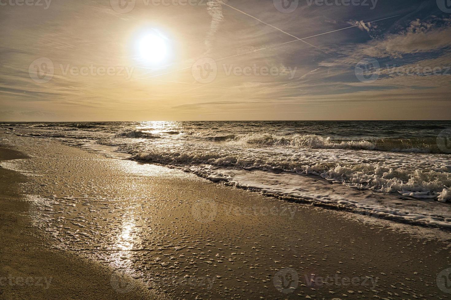 spiaggia occidentale sulla spiaggia del Mar Baltico. natura morta dettagliata e strutturata. foto