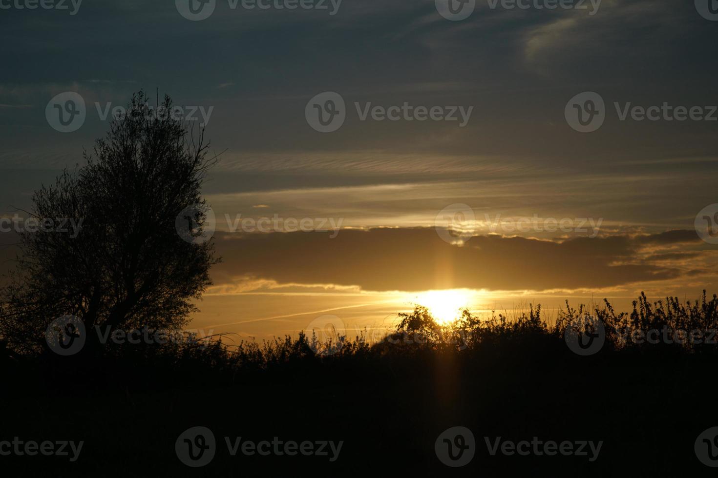 tramonto con cielo in fiamme dietro gli alberi. foto