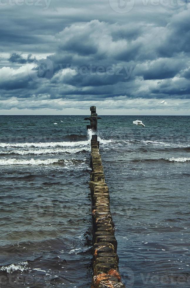 pennelli che si protendono nel mare. preso in zingst sui darss. foto