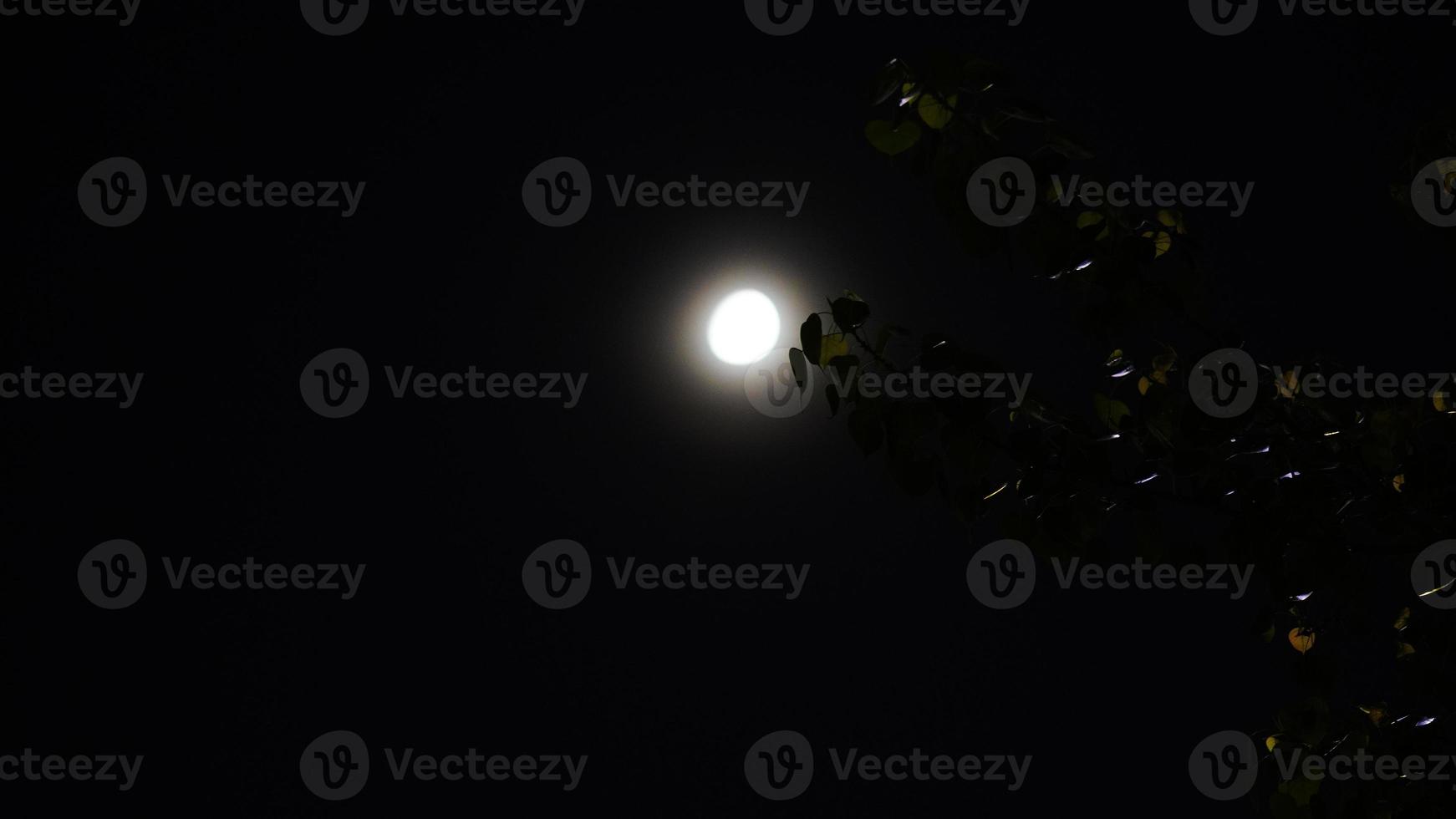 luna bianca cliccata in modalità notte foto