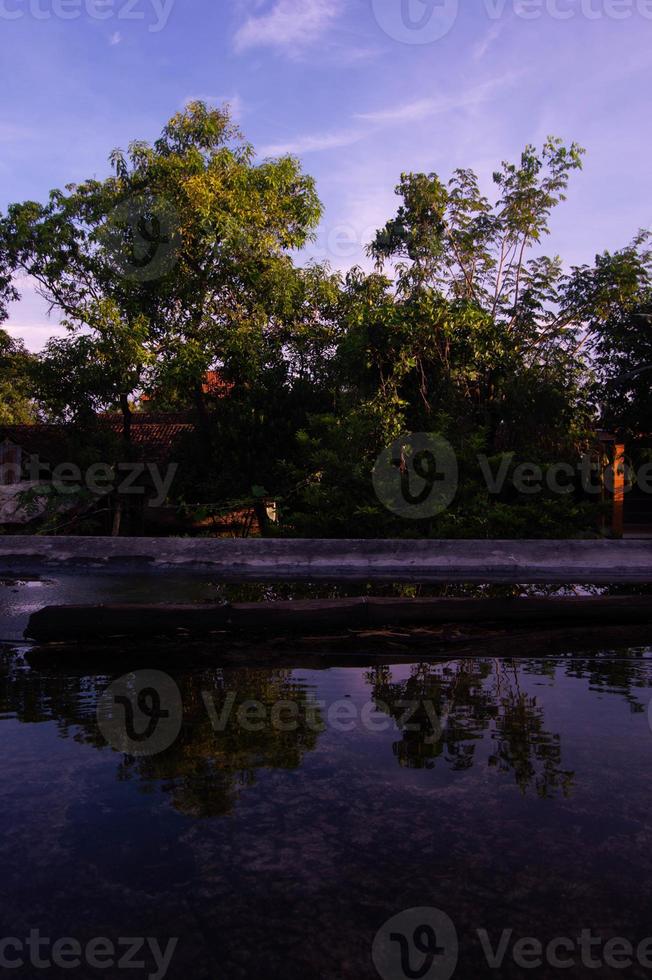 vista degli alberi dalla cima della casa foto