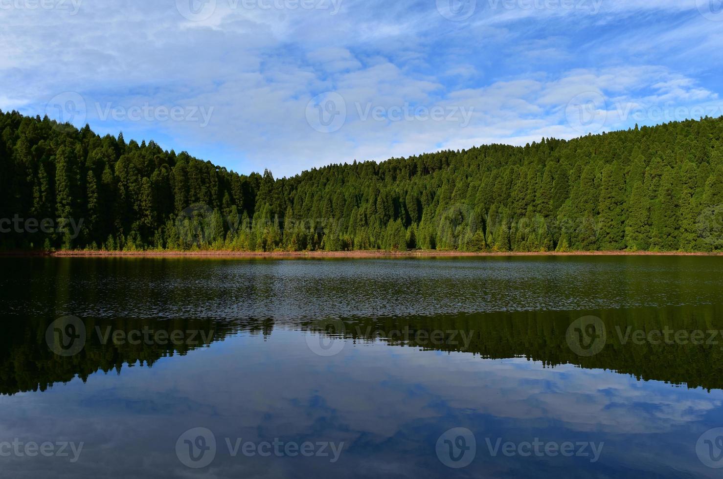 paesaggio con alberi che si riflettono nelle acque del lago foto