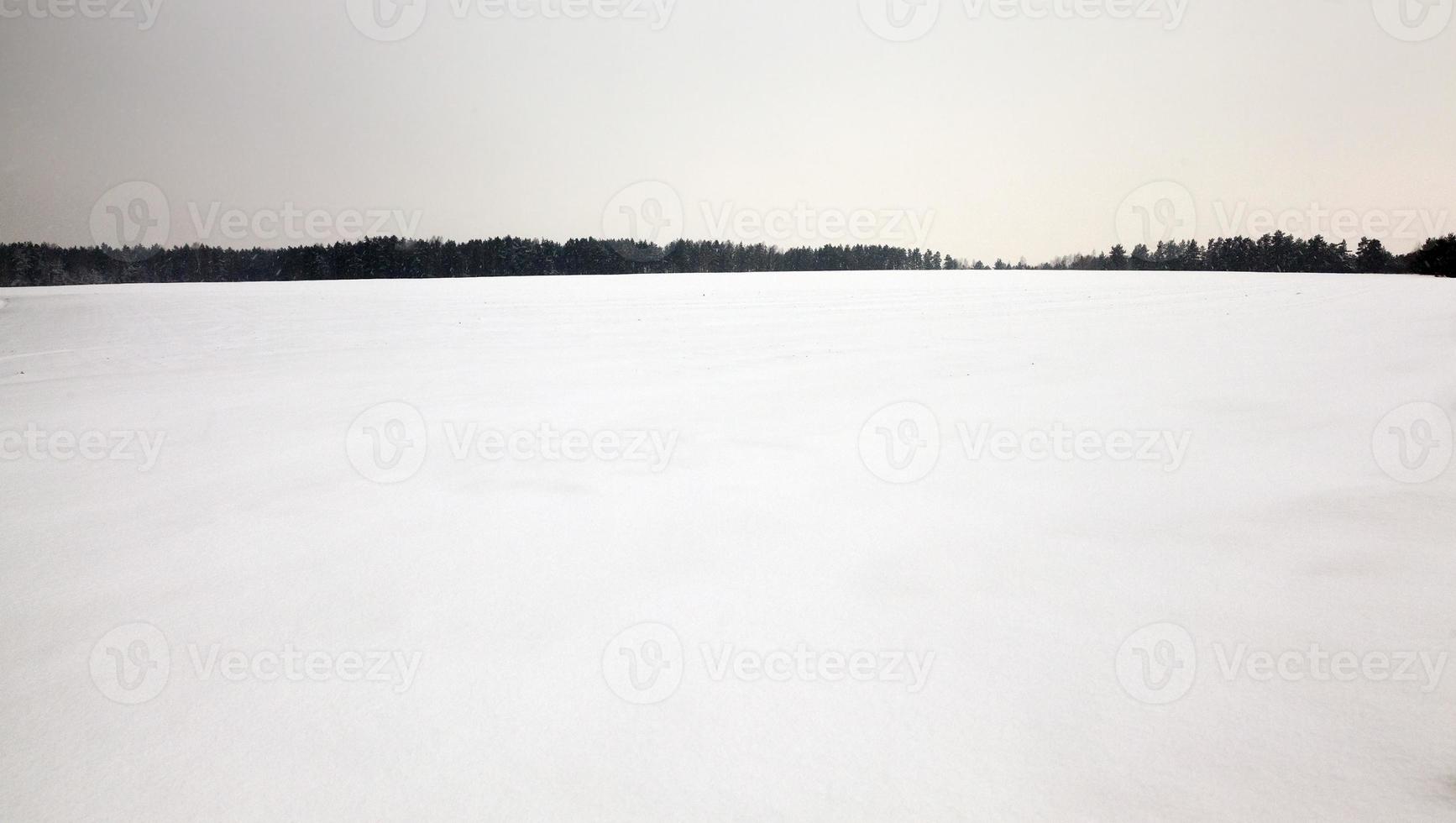 paesaggio invernale, nevicate foto