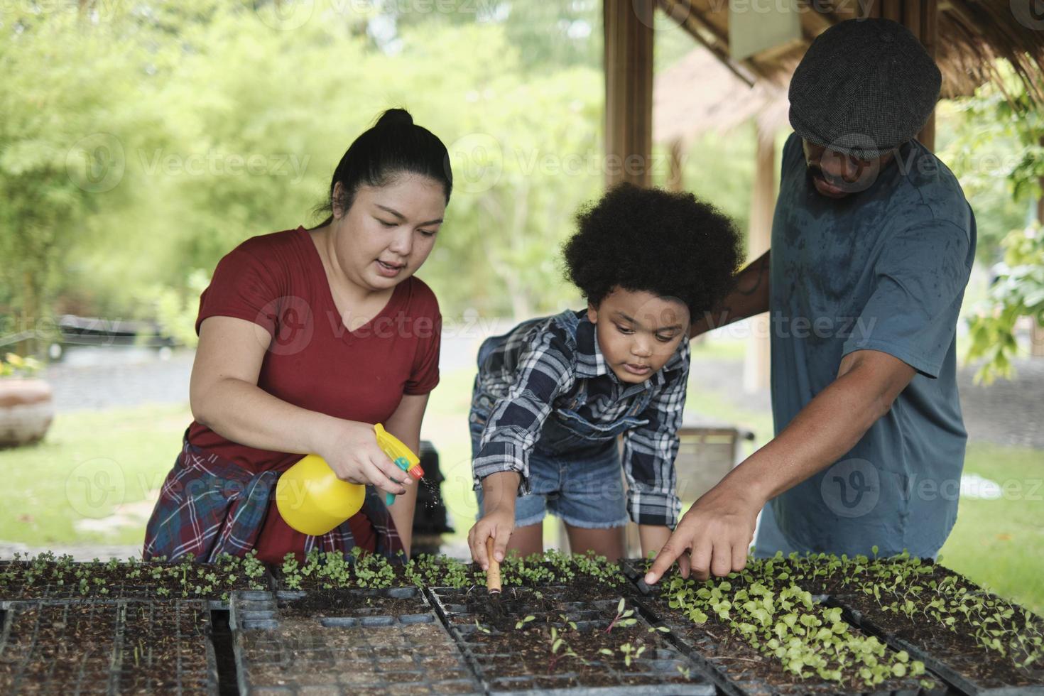 La famiglia di agricoltori afroamericani insegna al figlio a piantare piantine in appezzamenti di vivai per l'orto per l'apprendimento dell'ecologia della natura, hobby del giardiniere biologico, felice insieme all'agricoltura infantile. foto