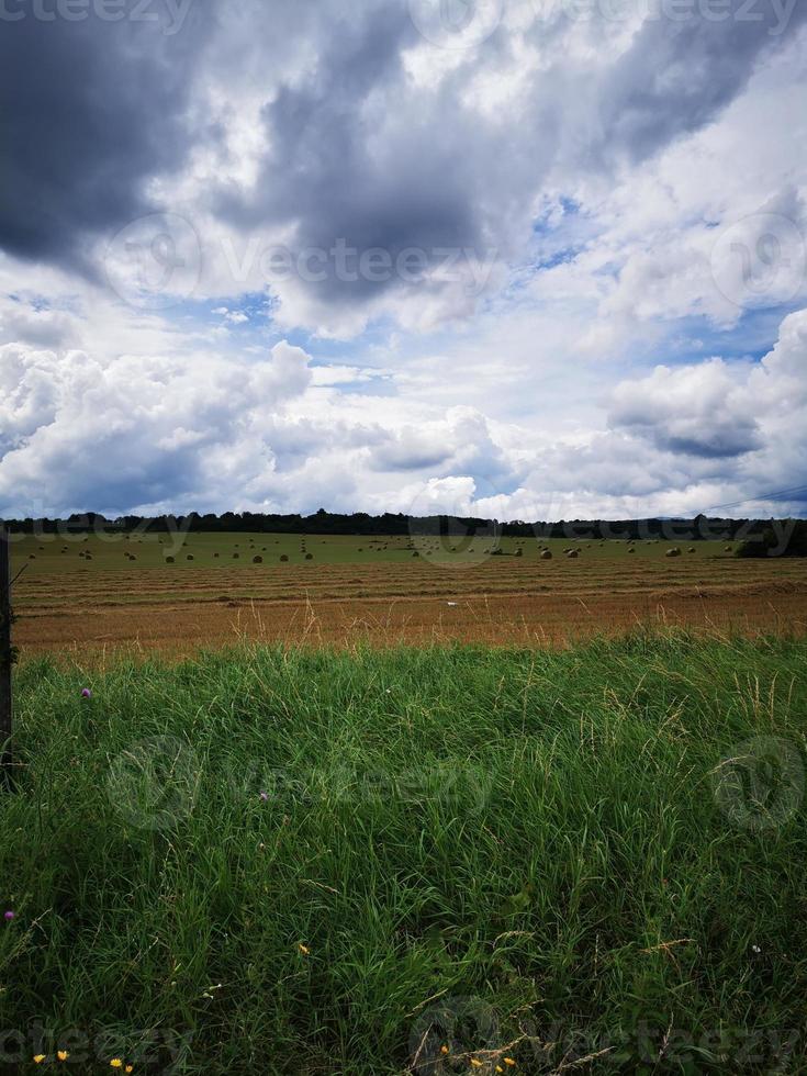 un grande prato verde foto