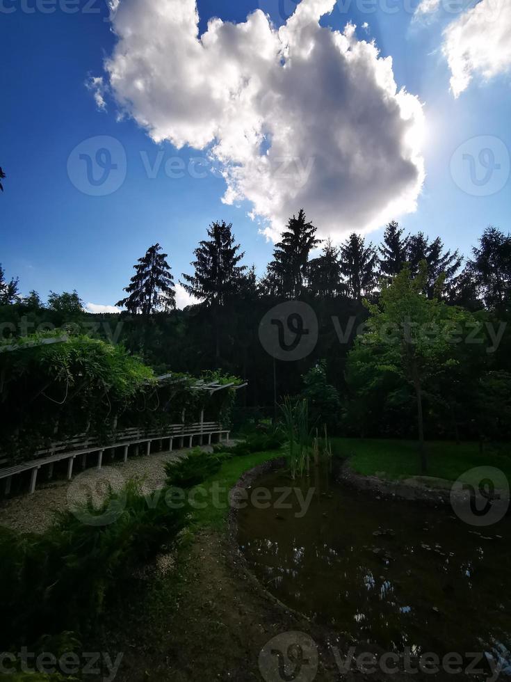 foreste di pini del giardino delle fate a miskolc e un bel cielo blu foto