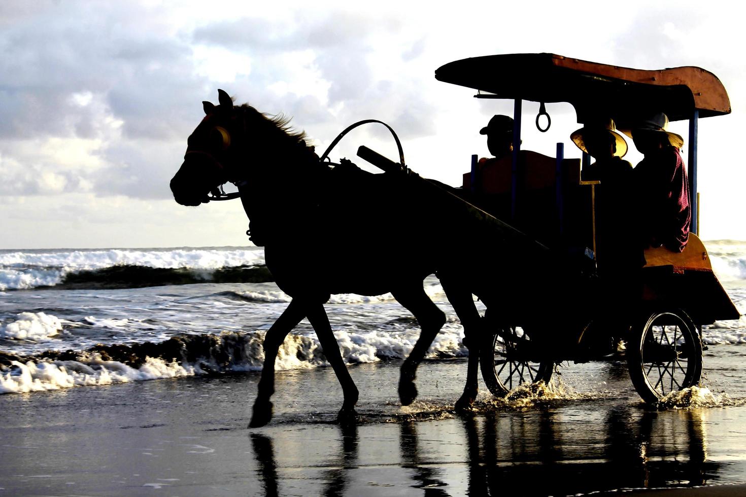 carrozza a cavallo che corre sulla spiaggia foto