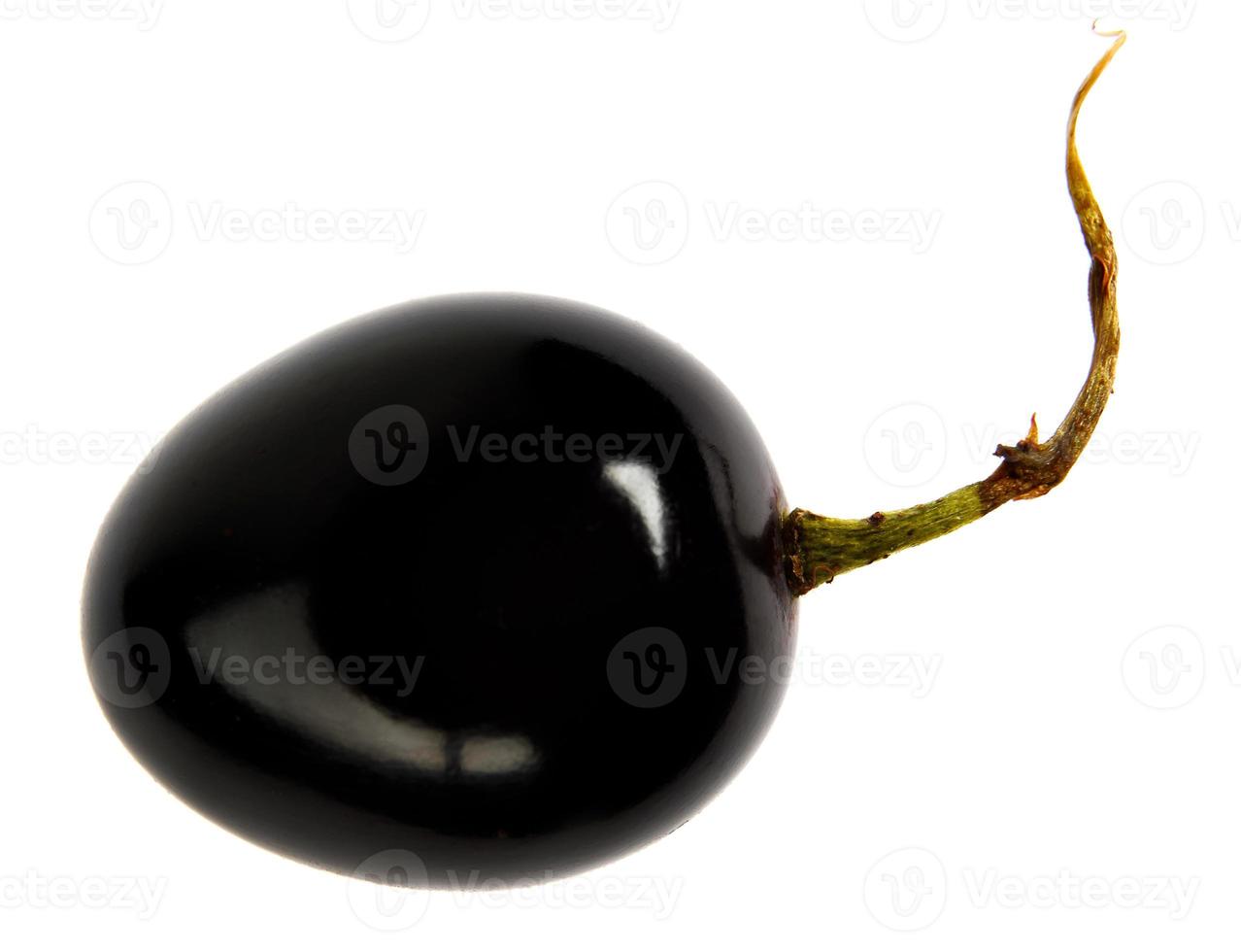 una bellissima bacca d'uva nera con una coda è isolata su uno sfondo bianco. foto