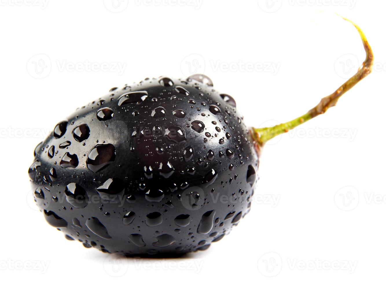 la bacca di uva nera con una coda è isolata su uno sfondo bianco. gocce d'acqua sull'uva. foto