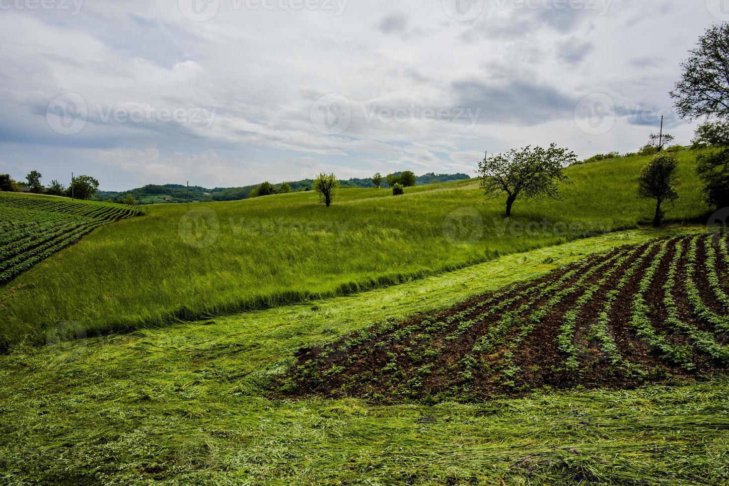 2022 05 08n selvaditrissino paesaggio agricolo foto