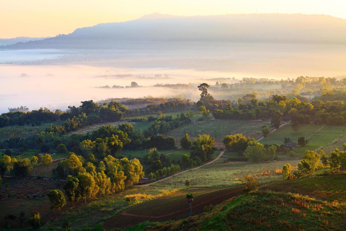 Foschia mattutina alba nel punto di vista di khao takhian ngo a khao-kho phetchabun, Tailandia foto