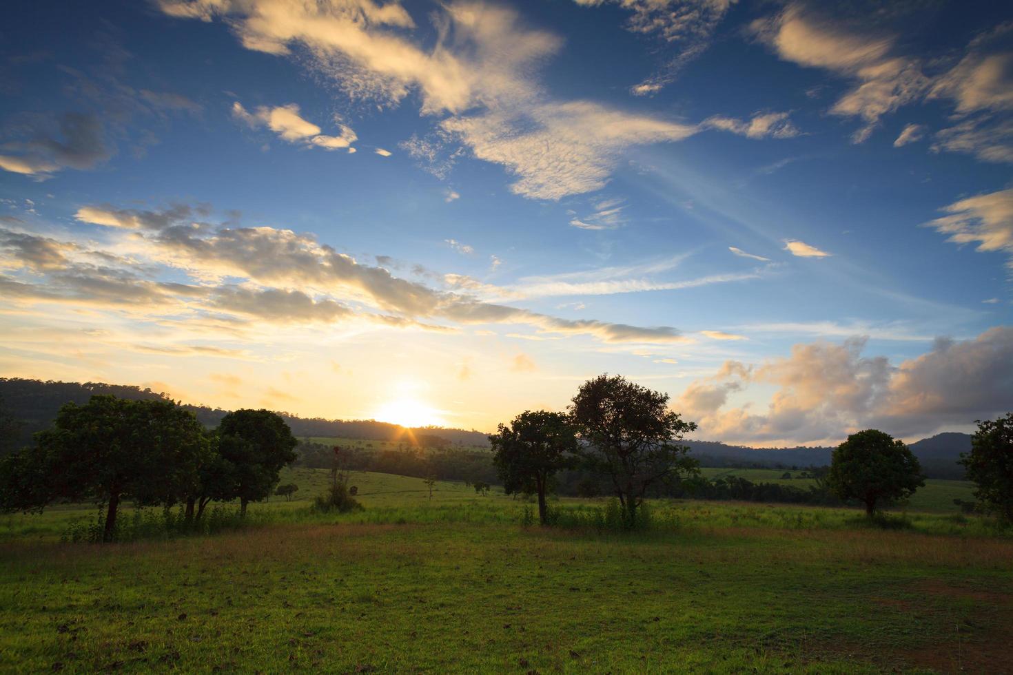 Tramonto del paesaggio al parco nazionale di thung salang luang phetchabun,tung slang luang è la savana dei prati in thailandia foto