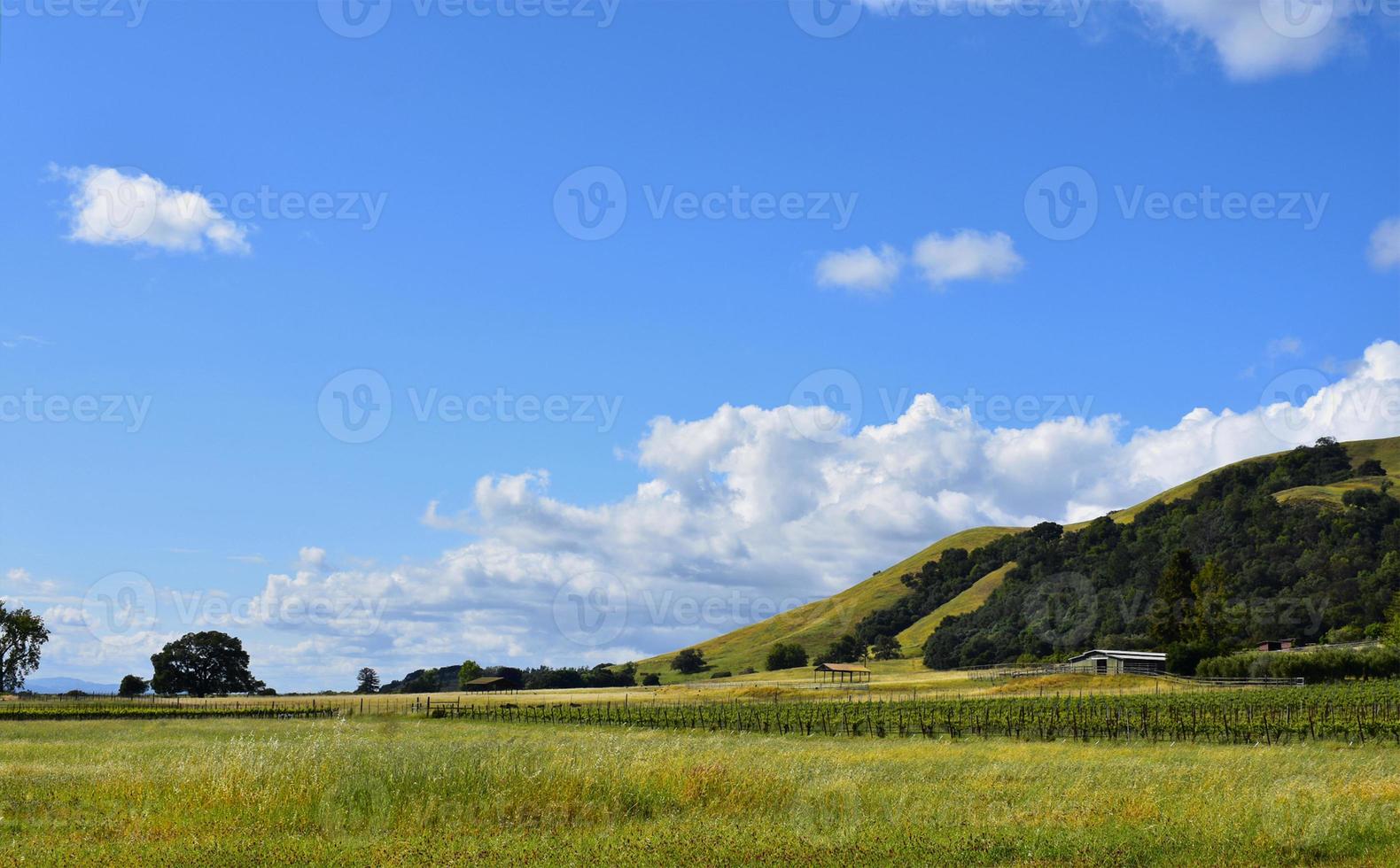 dolci colline in campagna foto