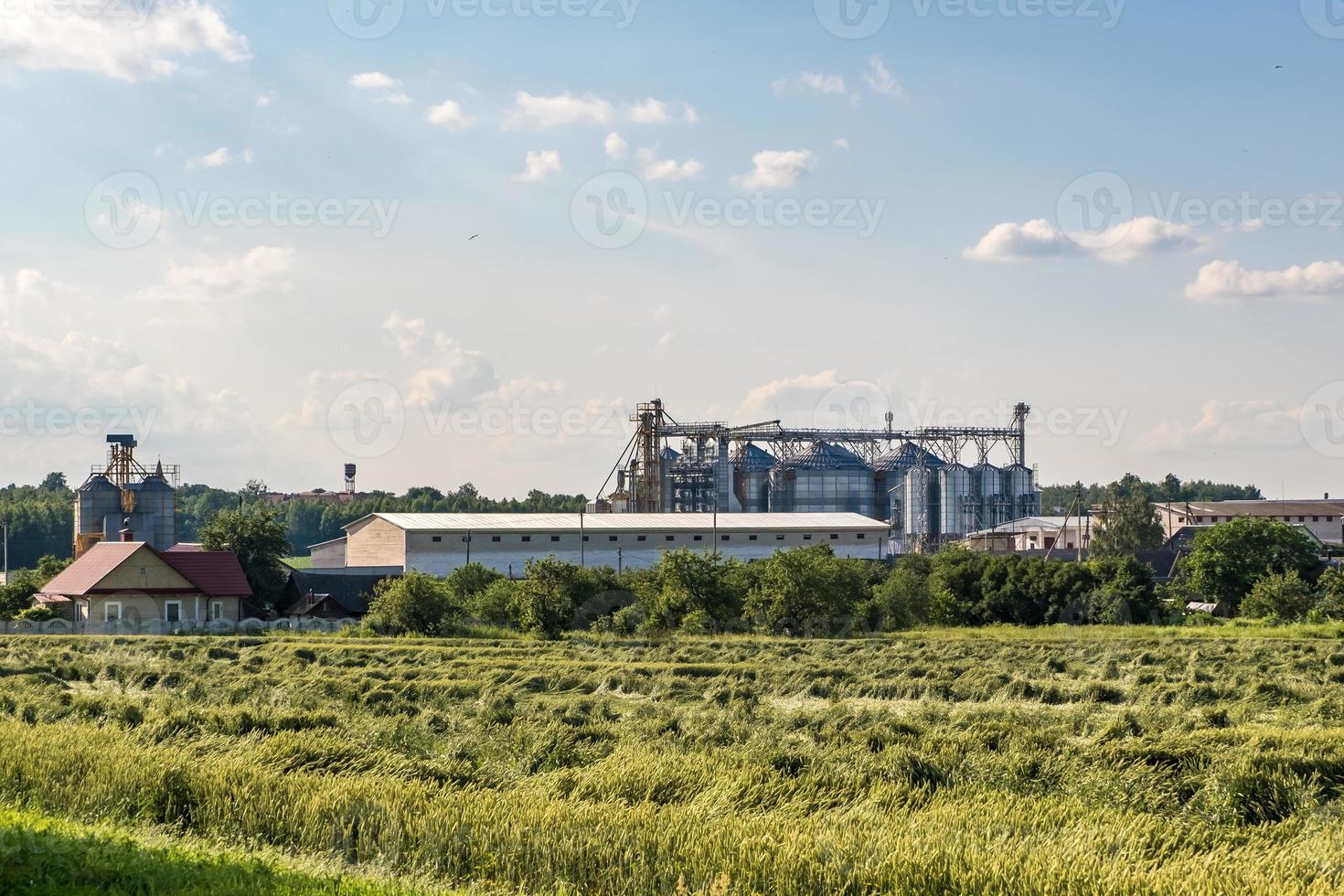 silos d'argento su impianti di agro-lavorazione e produzione per la lavorazione di essiccamento, pulitura e stoccaggio di prodotti agricoli, farine, cereali e granaglie. ascensore del granaio. foto