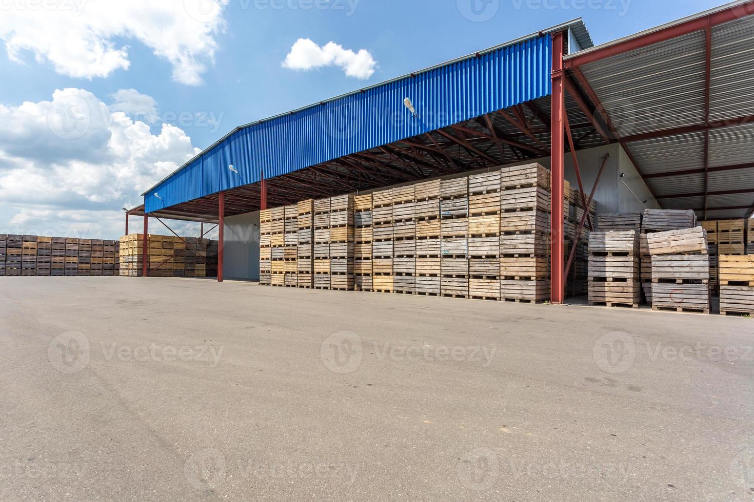 file di casse di legno scatole e pallet per frutta e verdura in magazzino. magazzino di produzione. industria vegetale foto