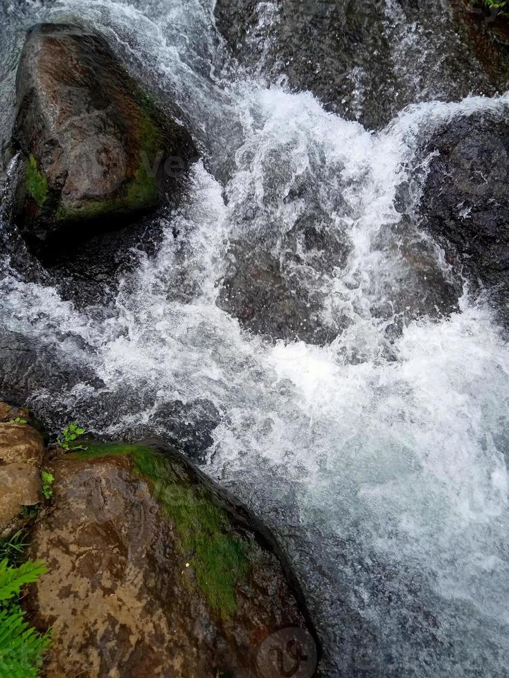 fiume spumeggiante in roccia vista bellissima natura foto