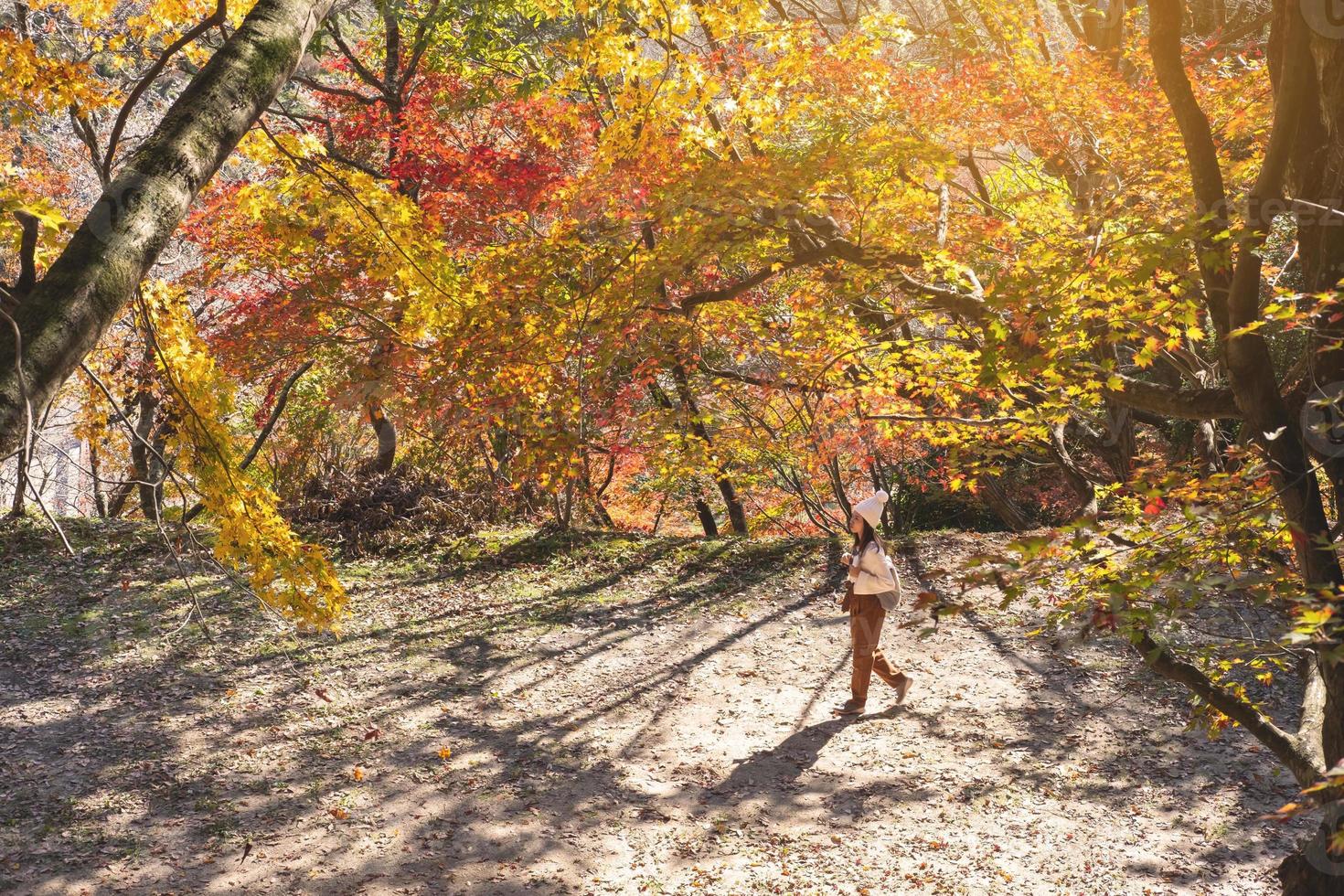 il viaggiatore della giovane donna che sembra bella caduta di congedo di autunno in Giappone, concetto di stile di vita di viaggio foto