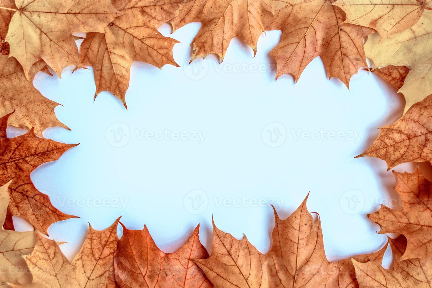 paesaggio autunnale con fogliame colorato brillante. estate indiana. foto