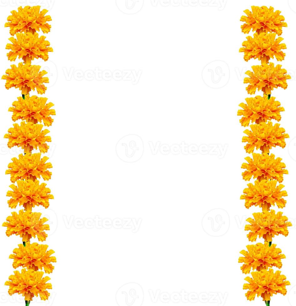 calendule di fiori colorati luminosi isolati su sfondo bianco foto