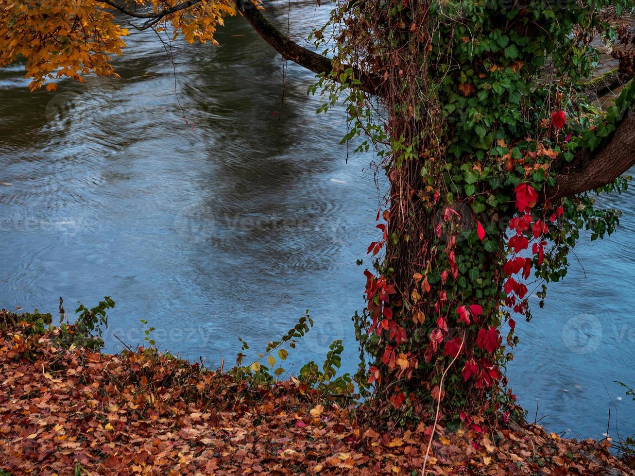 colori autunnali nella città di strasburgo. giallo, rosso, arancione foto