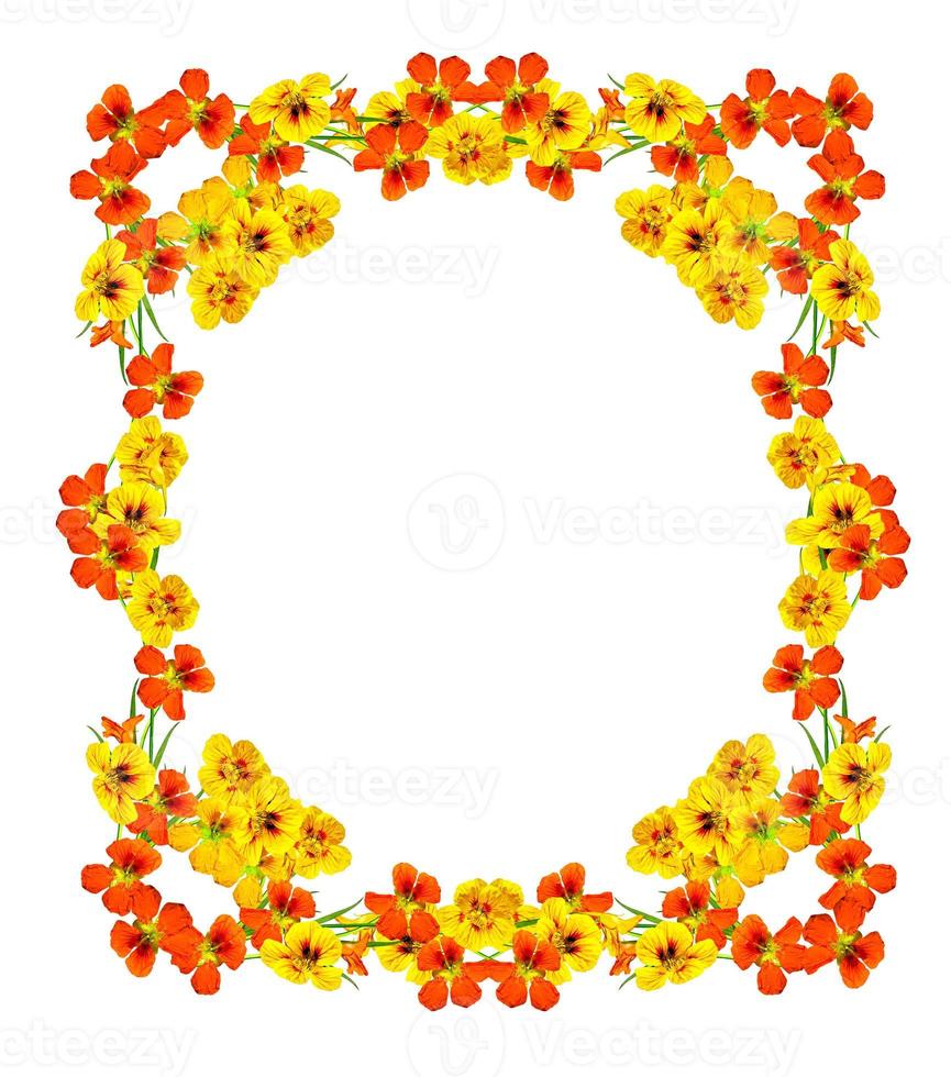 cornice rotonda con fiori di nasturzio foto