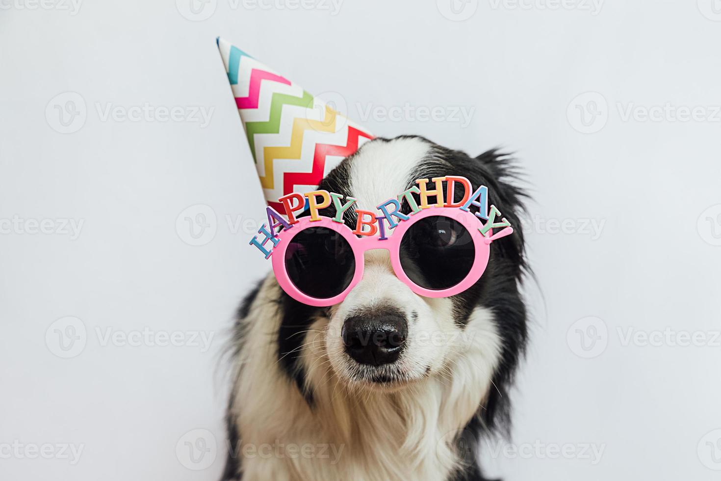 concetto di festa di buon compleanno. simpatico cucciolo di cane border collie che indossa un cappello sciocco di compleanno e occhiali da vista isolati su sfondo bianco. cane da compagnia il giorno del compleanno. foto