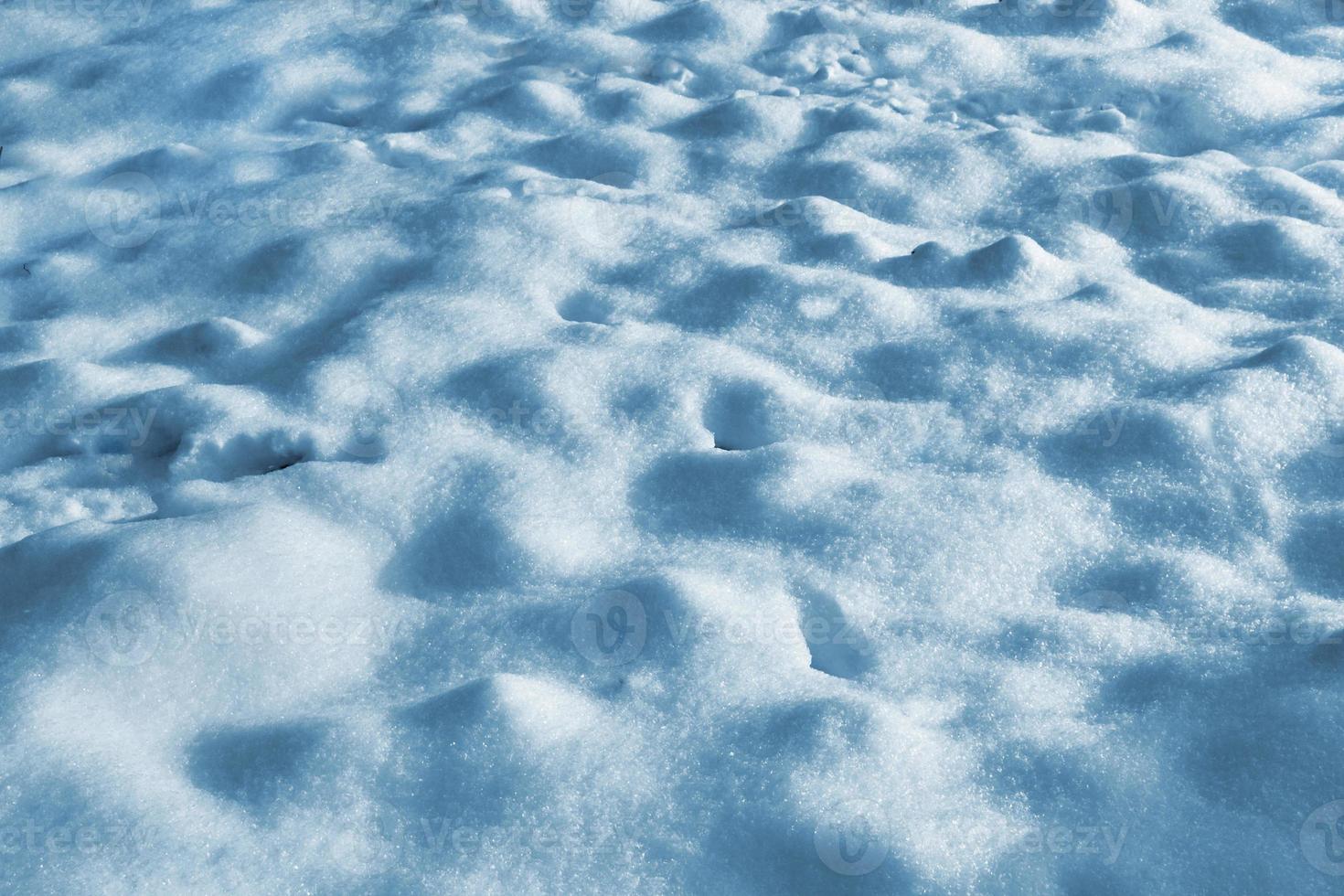 sfondo di neve. paesaggio invernale. foto