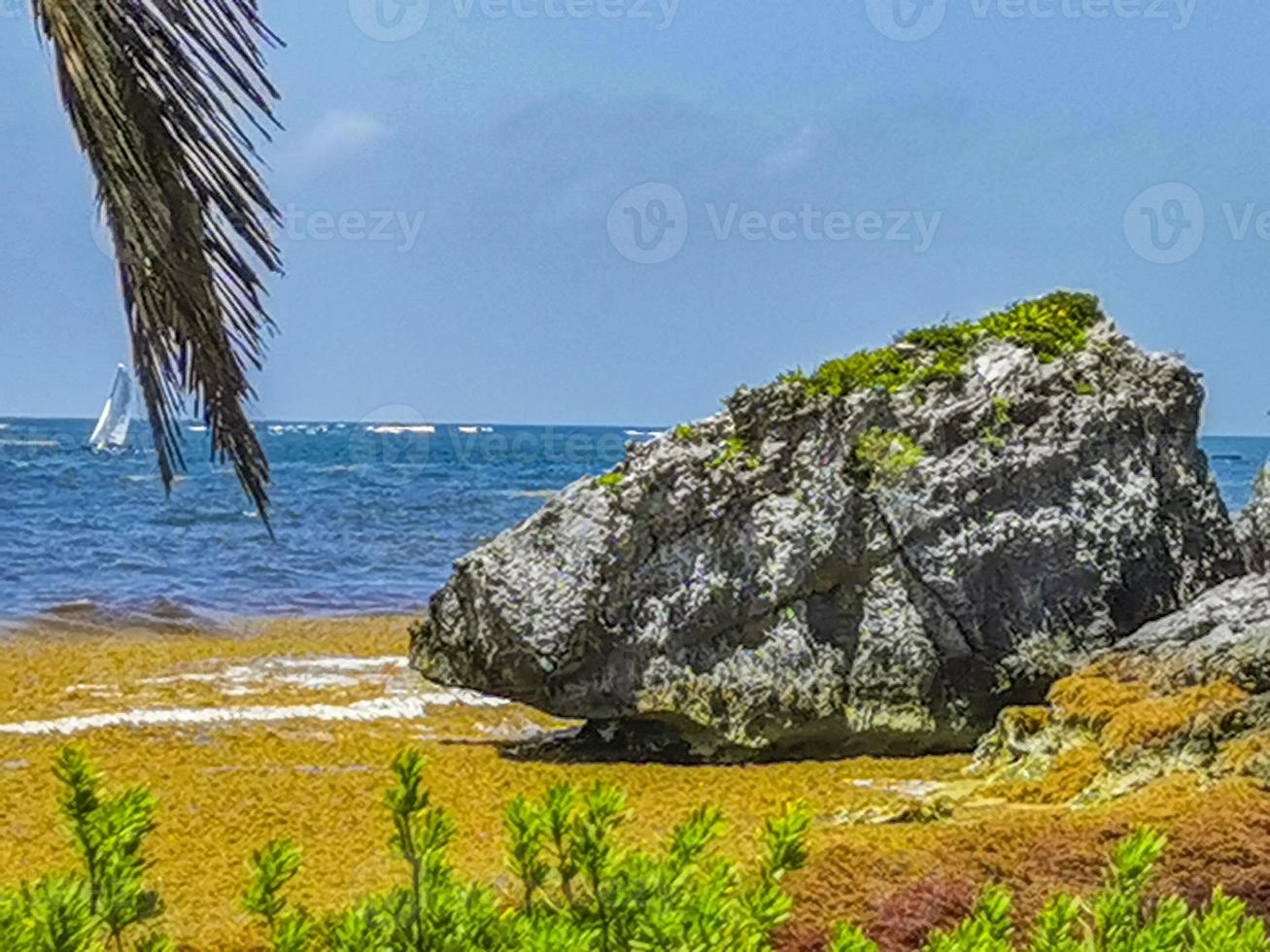paesaggio marino naturale spiaggia panorama rovine di tulum sito maya tempio messico. foto