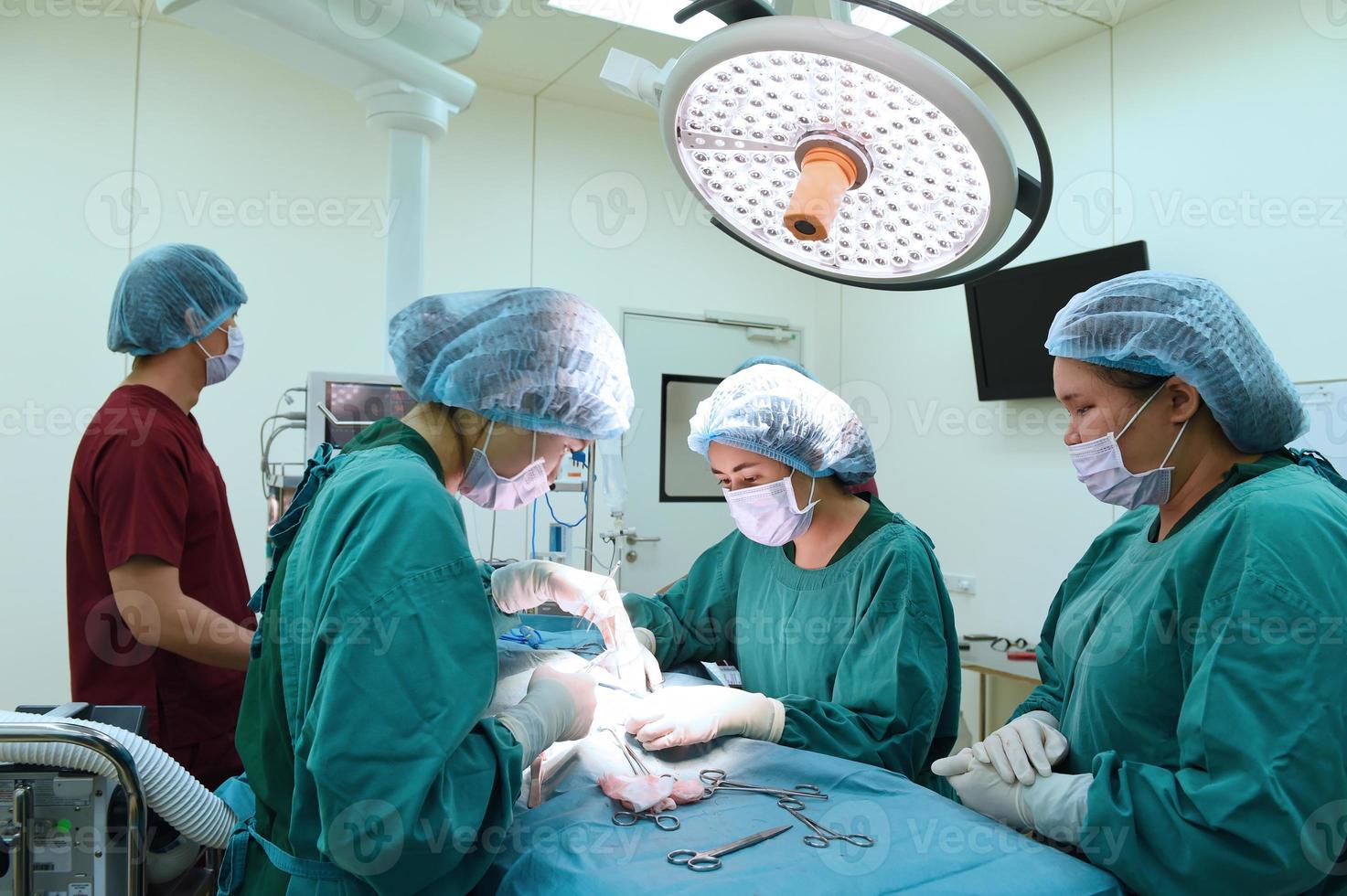 gruppo di ambulatorio veterinario in sala operatoria foto