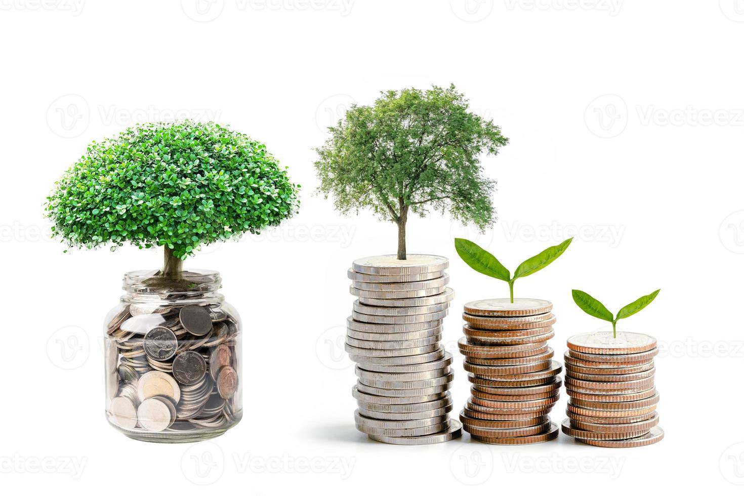 foglia di plumule dell'albero sulle monete di risparmio dei soldi, concetto di investimento bancario di risparmio di finanza aziendale. foto
