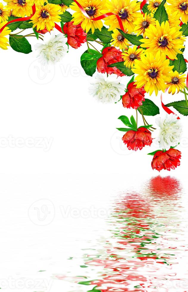 fiori di peonia isolati su sfondo bianco. rudbeckia foto