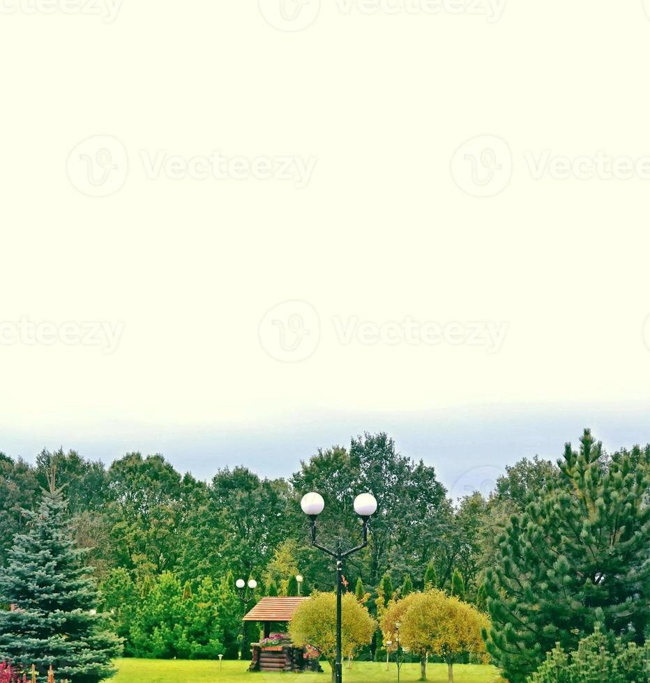 paesaggio autunnale con fogliame colorato brillante. estate indiana. foto