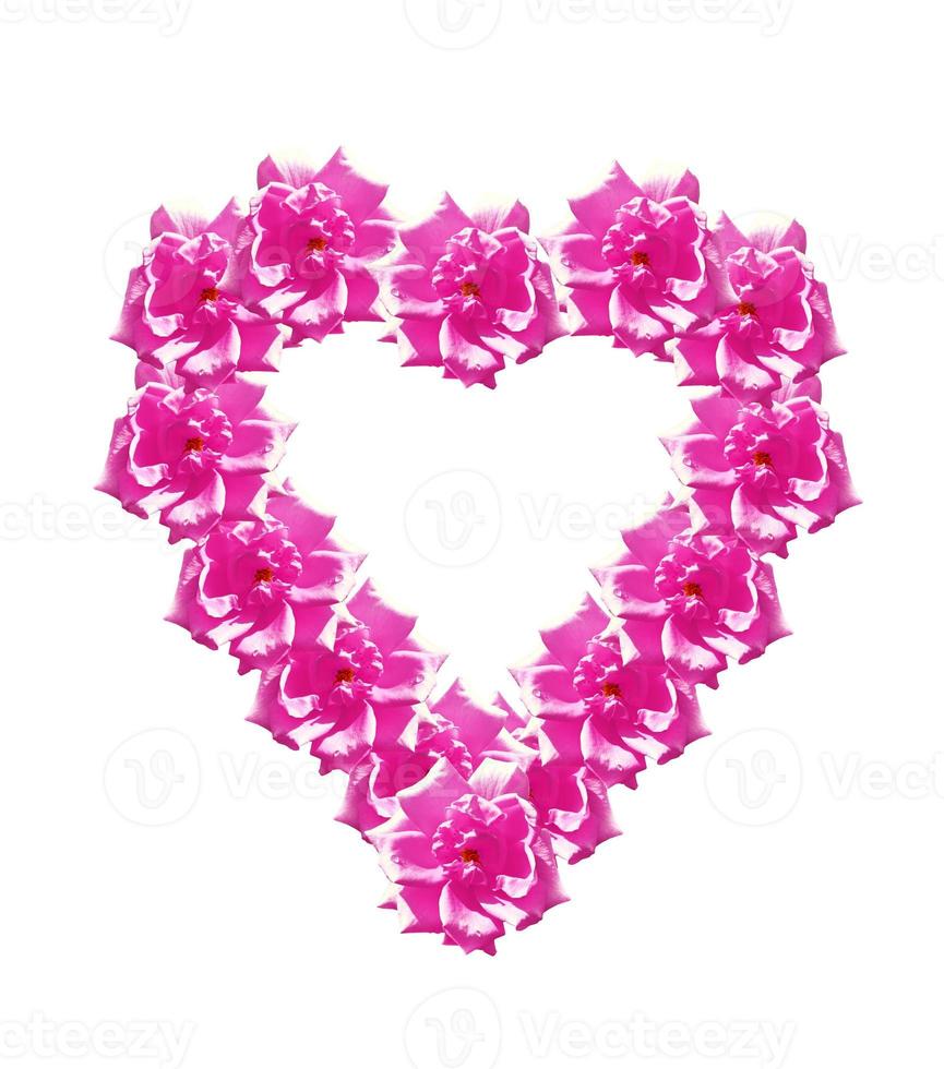 cuore di fiori rosa isolato su sfondo bianco. foto