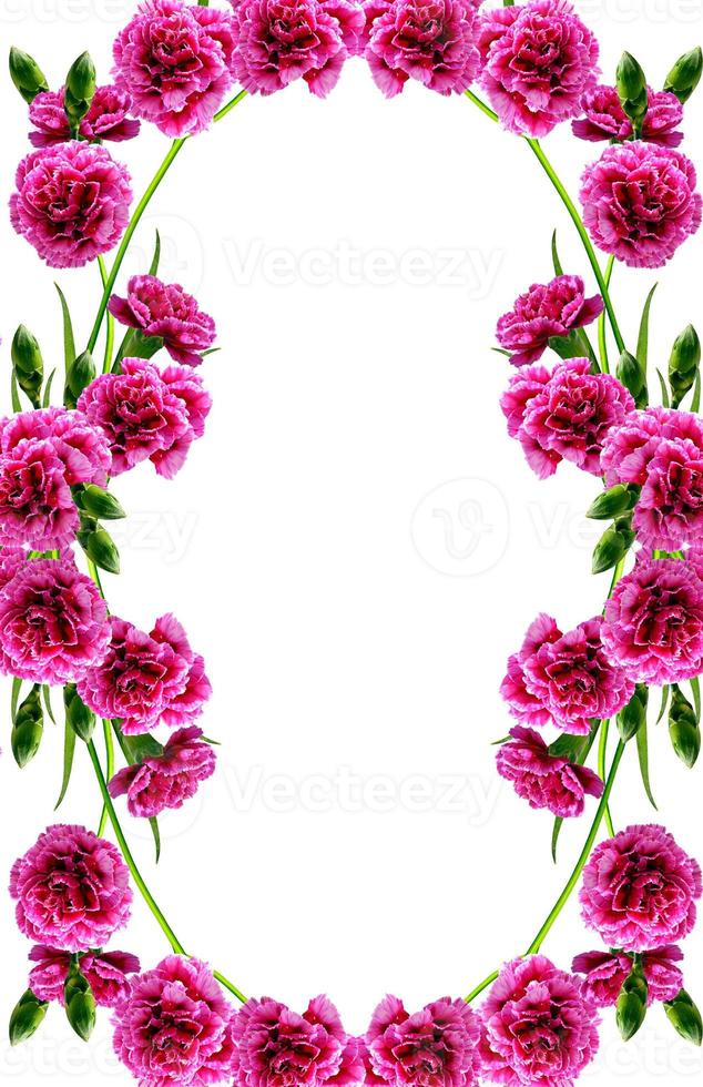 cornice rotonda di fiori di garofano foto