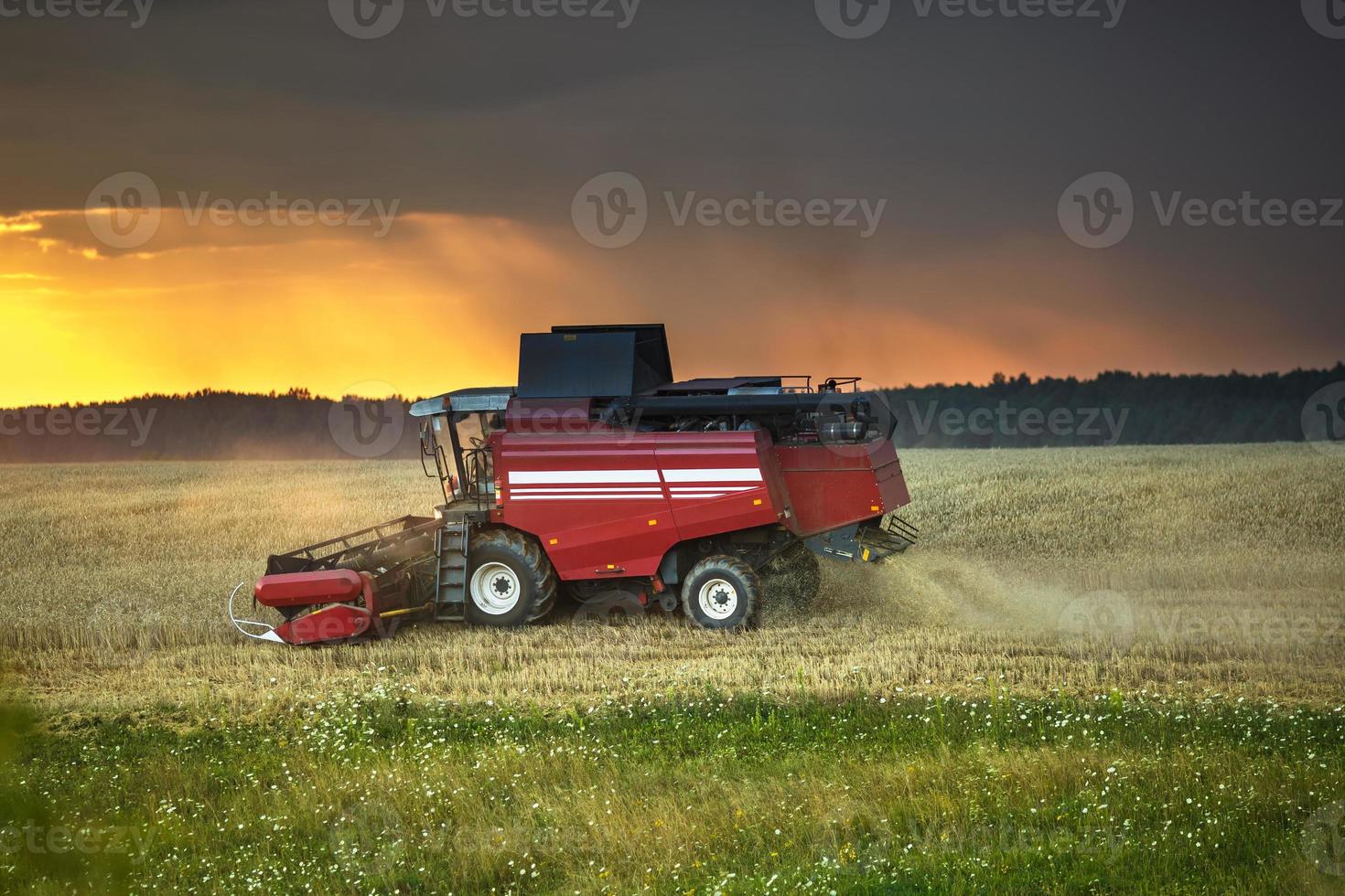 la moderna mietitrice pesante rimuove il pane di grano maturo nel campo prima della tempesta. lavoro agricolo stagionale foto