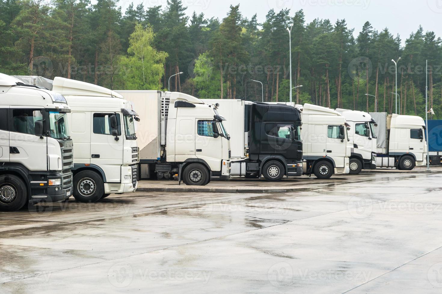 camion di fila con container nel parcheggio vicino al concetto di foresta, logistica e trasporto foto