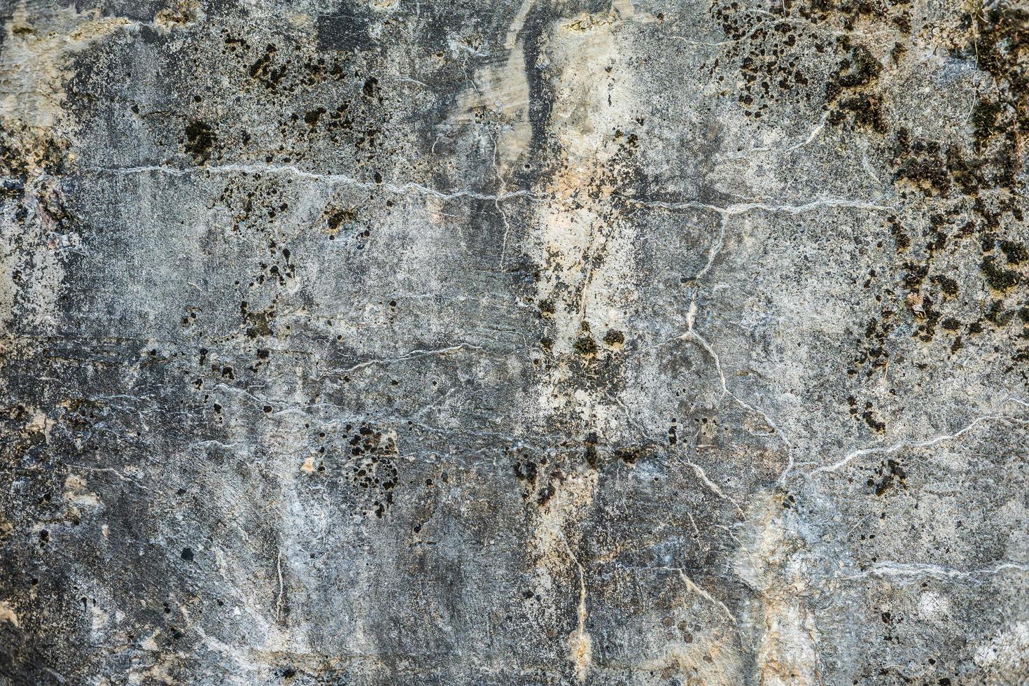 superficie del muro di cemento grigio di una fortezza militare in fessure ricoperte di muschio foto