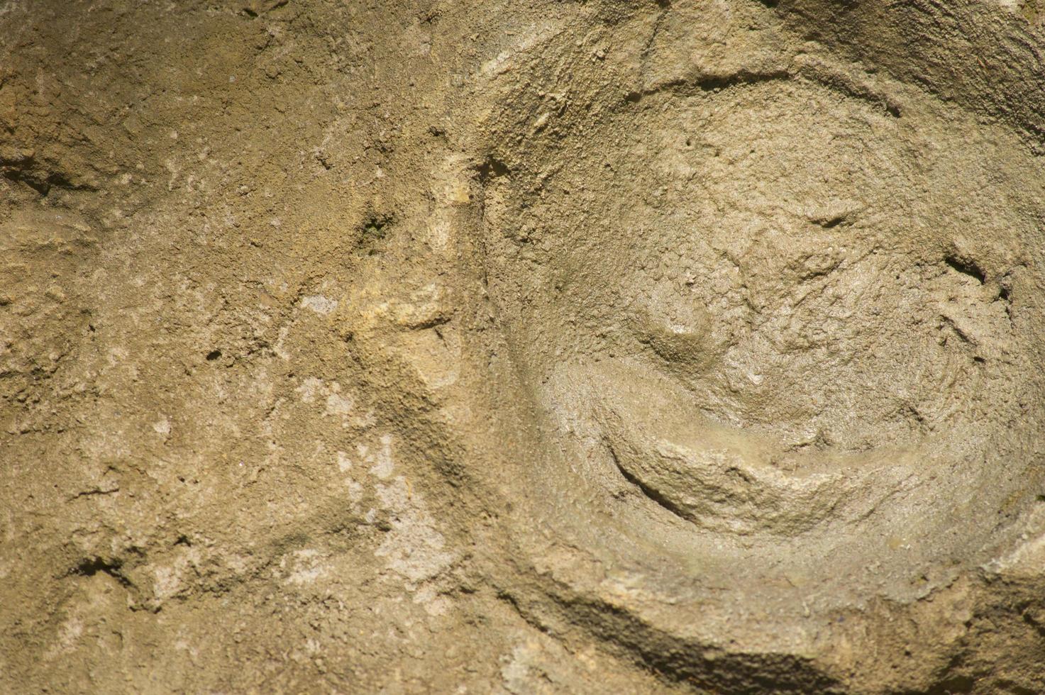 struttura di fondo del muro di cemento grezzo foto