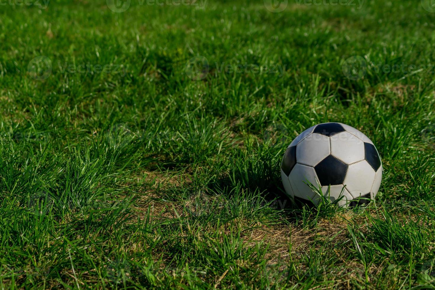 pallone da calcio o calcio palla in bianco e nero su sfondo verde erba. foto