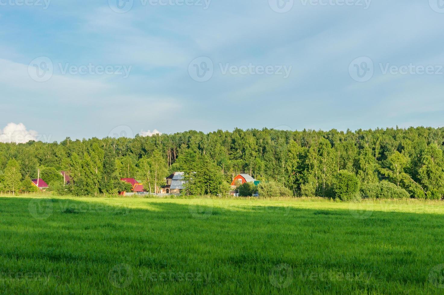 paesaggio rurale di campagna foto