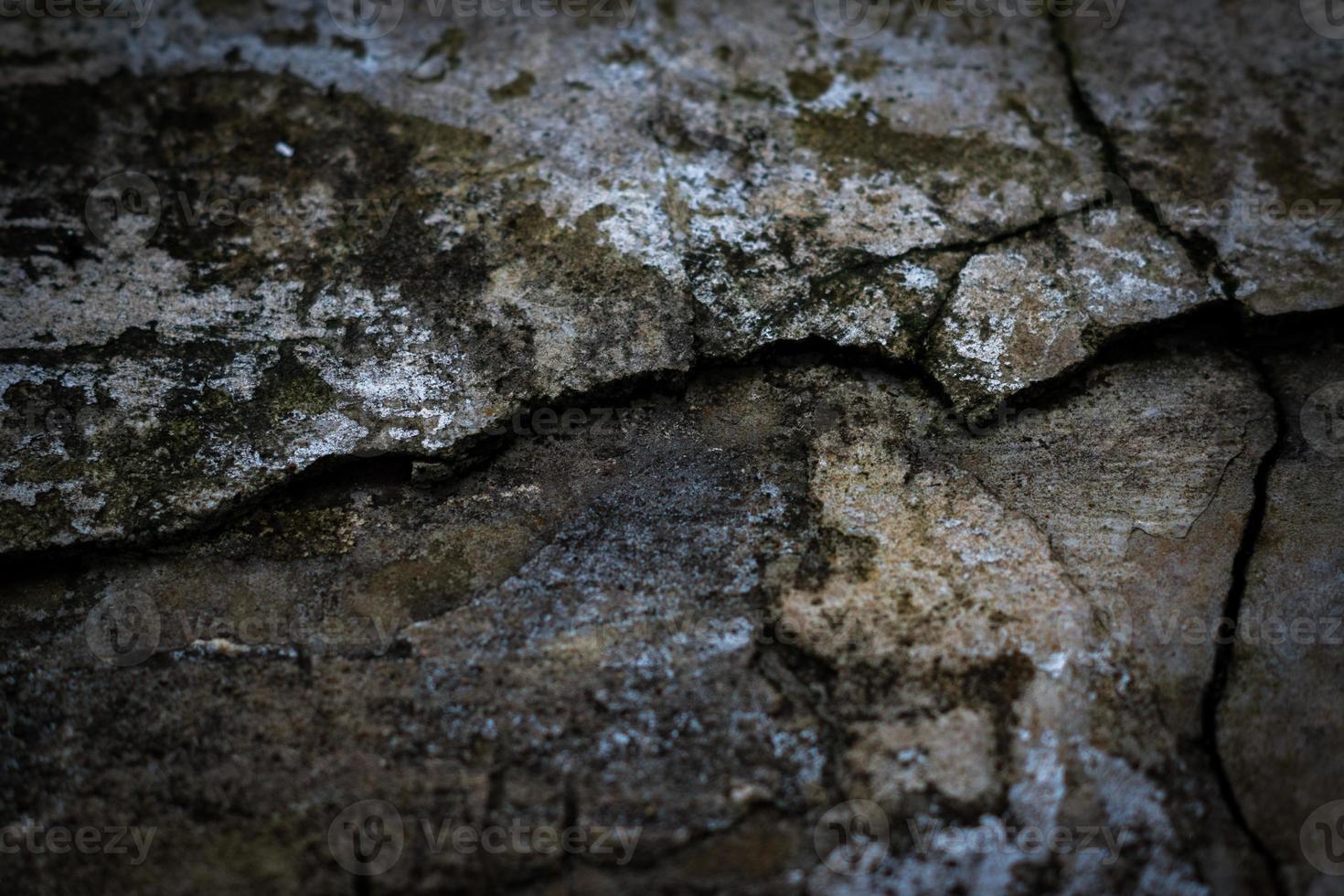 grunge texture di cemento foto