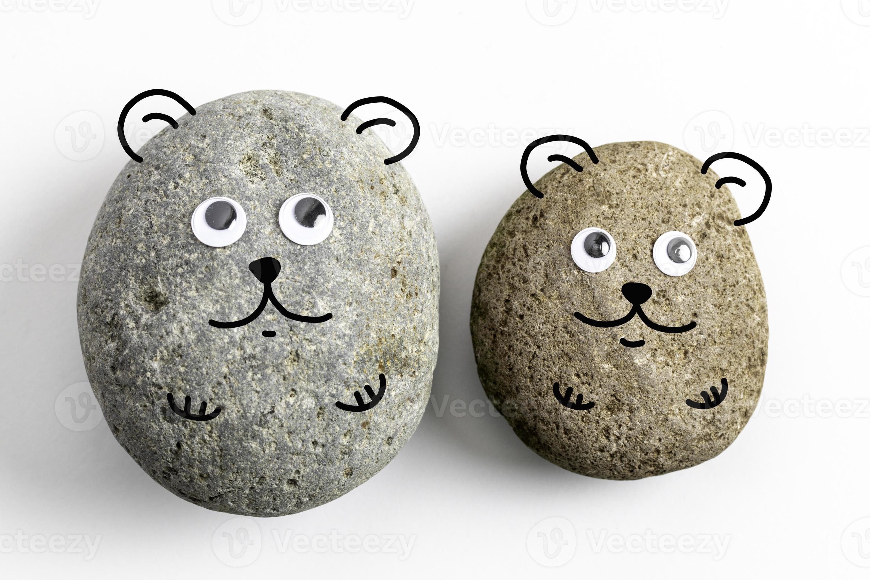 pet rock con occhi finti 10193801 Stock Photo su Vecteezy