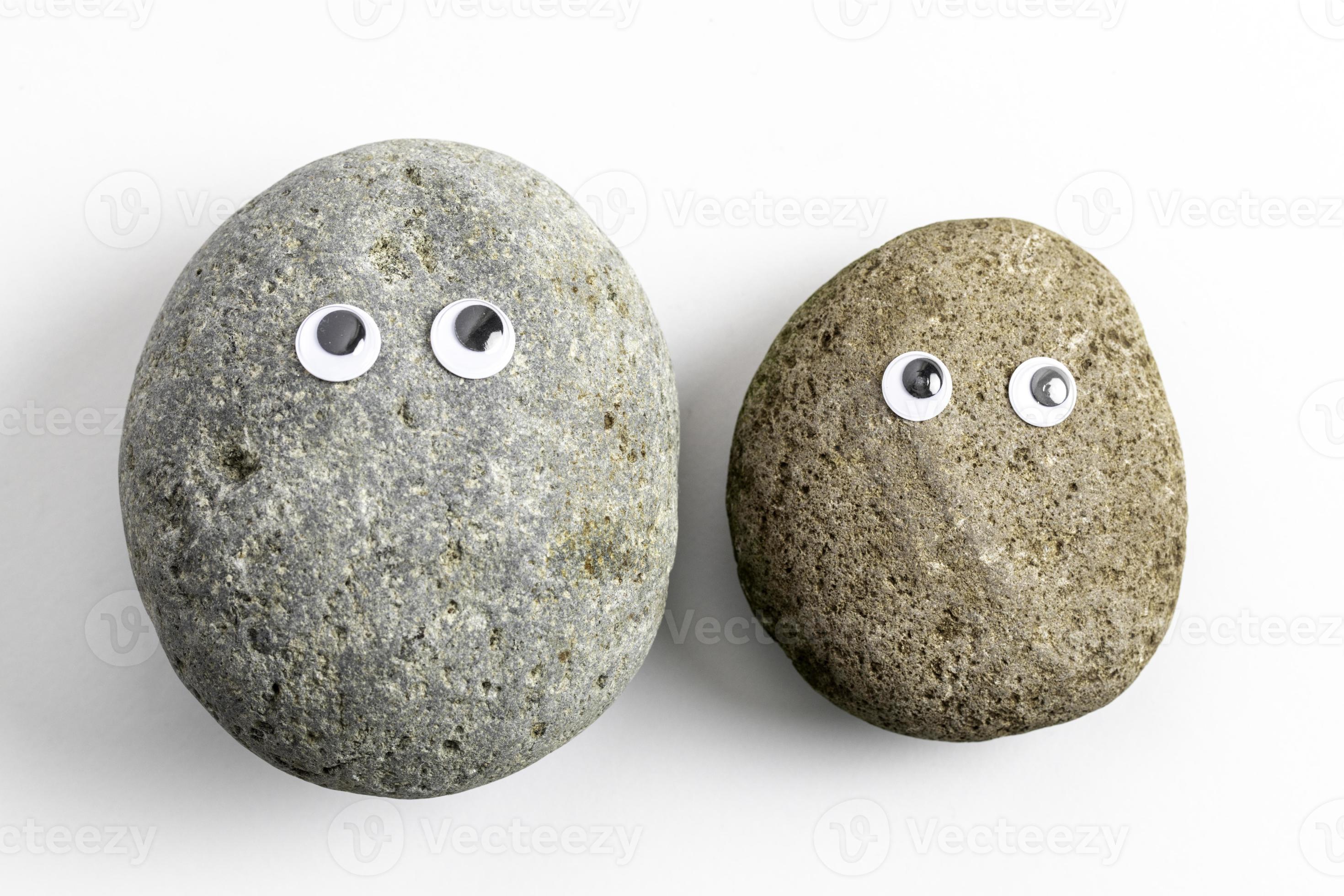 pet rock con occhi finti 10244637 Stock Photo su Vecteezy