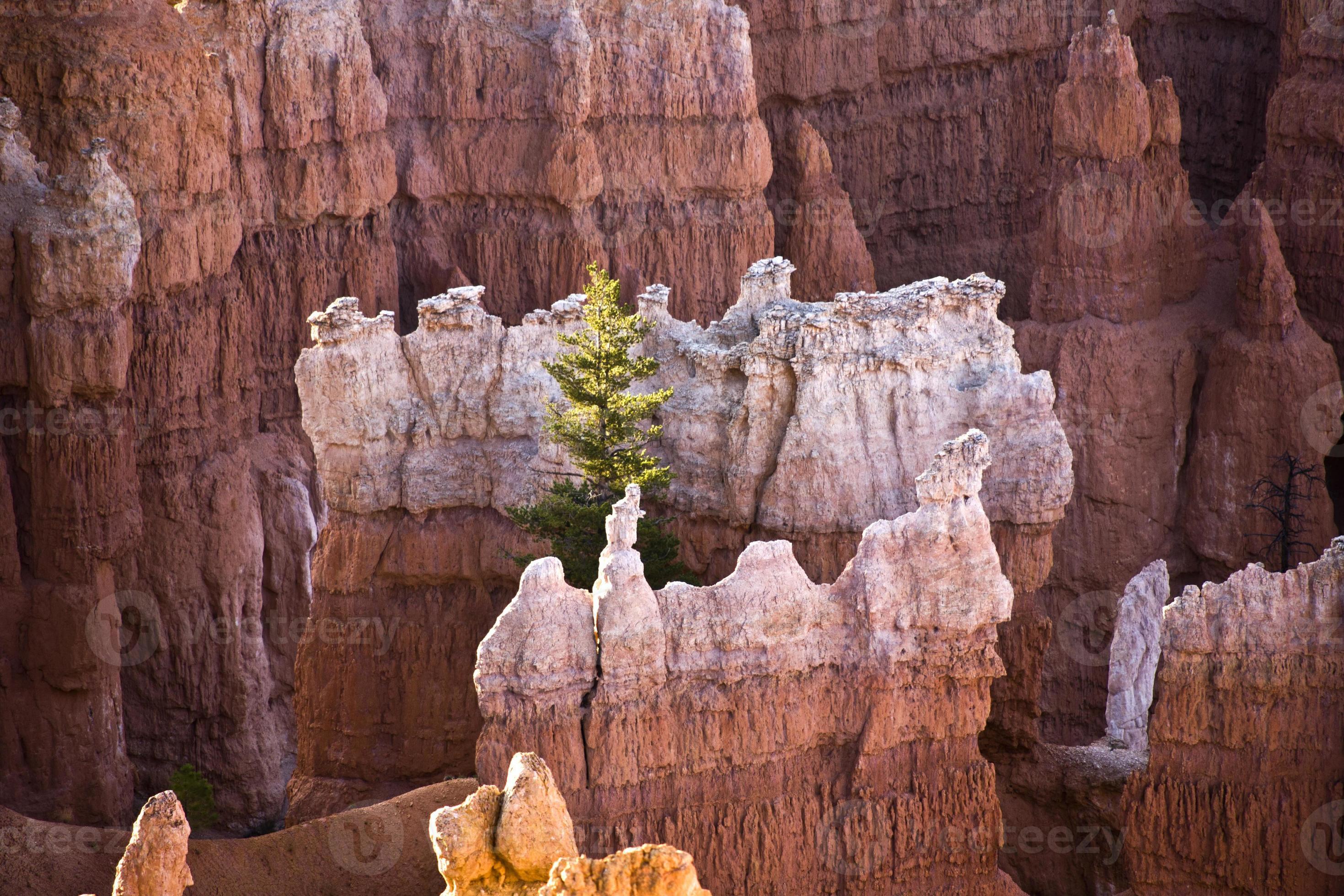 bellissimo paesaggio nel bryce canyon con magnifica forma di pietra foto