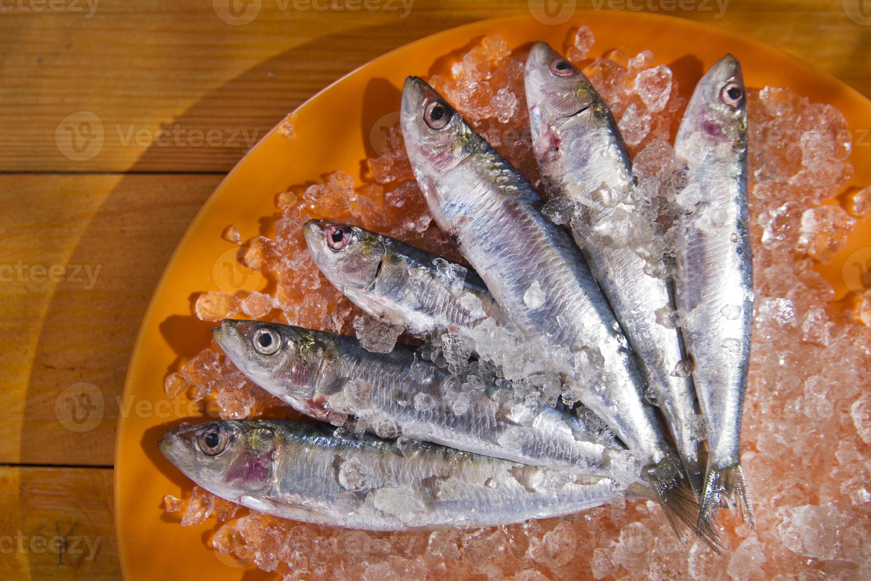 sardine fresche foto